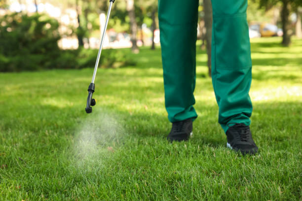 Best Wasp Removal Services  in Murphysboro, IL