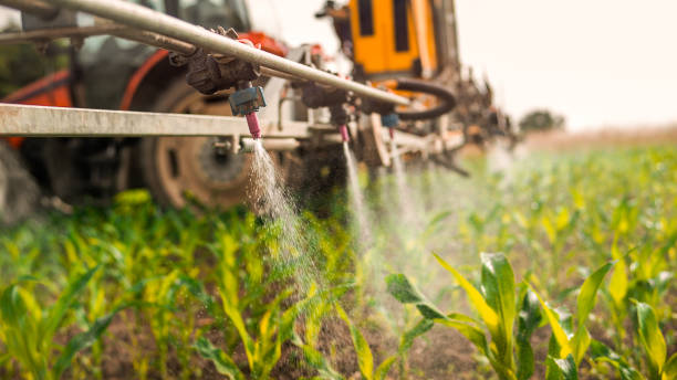 Best Best Pest Control Near Me  in Murphysboro, IL